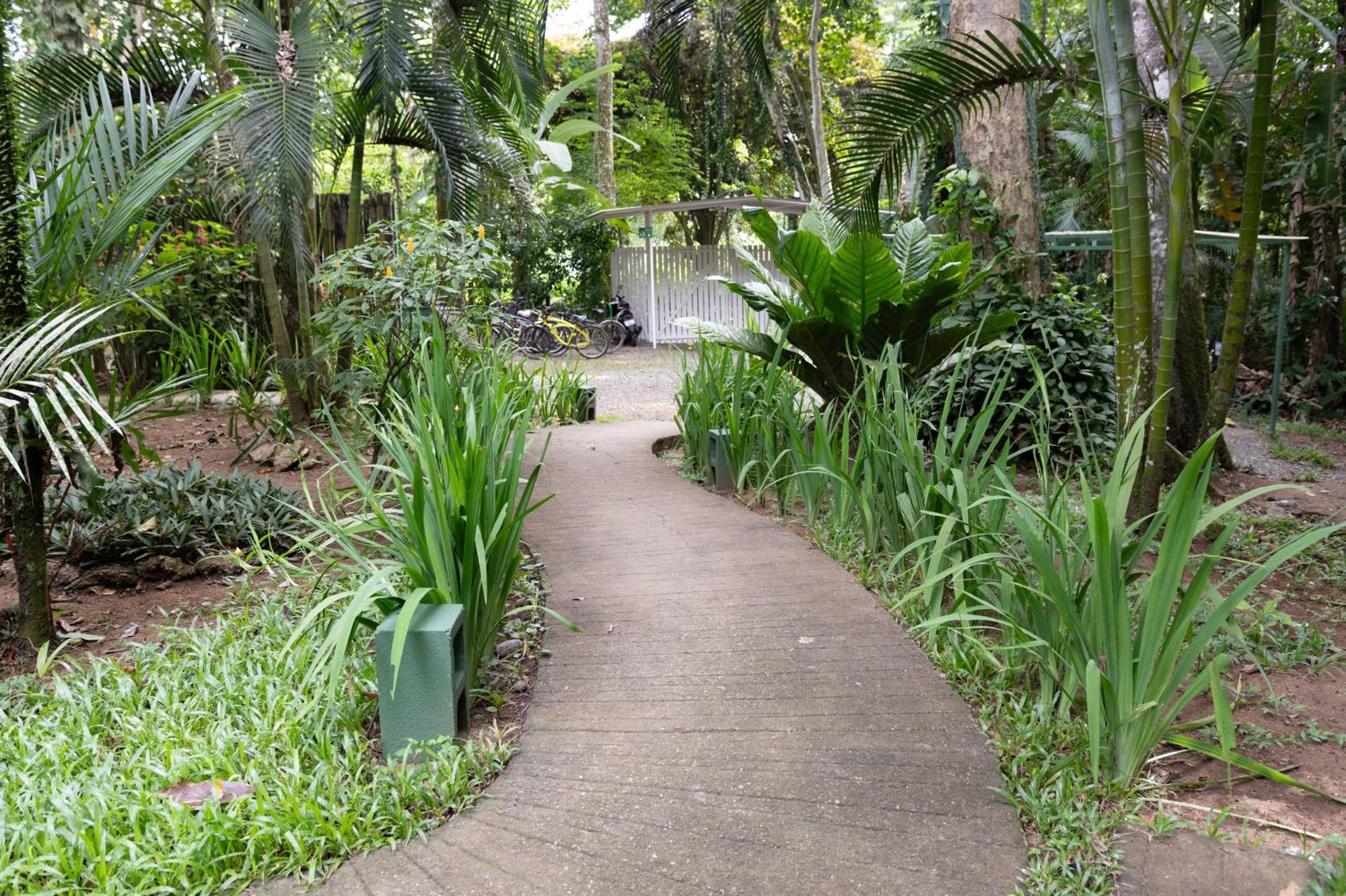 Jaguar Inn Bungalows Puerto Viejo de Talamanca Dış mekan fotoğraf